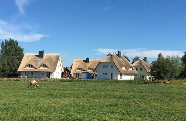 Reetdachhäuser Börgerende