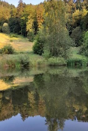 RELAX CHALET Nature Retreat - isolé sur 3 hectares - confort de LUXE - maison entière 150m2 - près de La Bresse