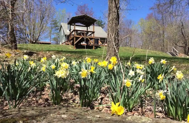 Relax in peaceful, private, secluded woods and mountains