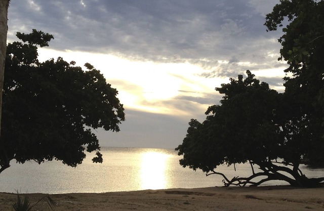 Relaxing fun in the sun. Enjoy a little piece of the jamaican jewel in security