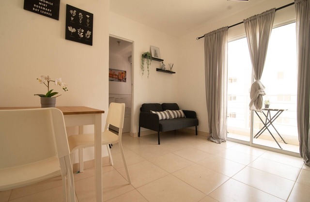 Relaxing one bedroom apartment