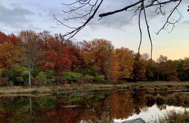 Relaxing Poconos Retreat with Fireplace