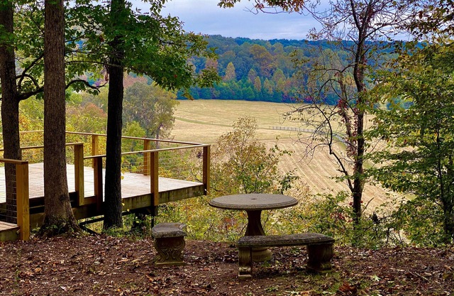 Renovated Airstream on 40 Park-like Acres in Dickson, TN, 45 Min. from Nashville