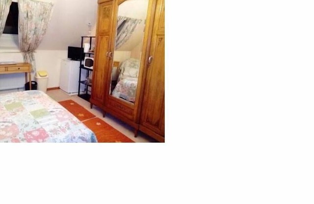 rental room host or student or trainee