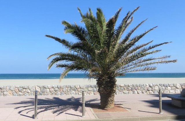 RESIDENCE LE NEULOS, T2 40m2 AVEC GARAGE PRIVE, 150 m de la mer, Avenue Roussillon Canet-Plage