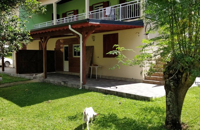 Rest and relaxation in nature (2/2)