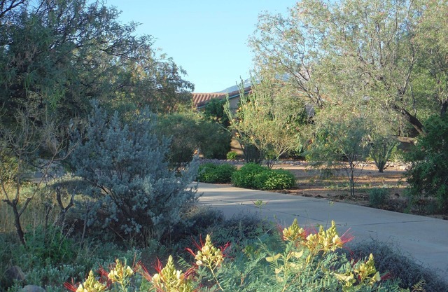 Retreat to Wiggle Your Toes – A Private Healing Villa and Zen Escape