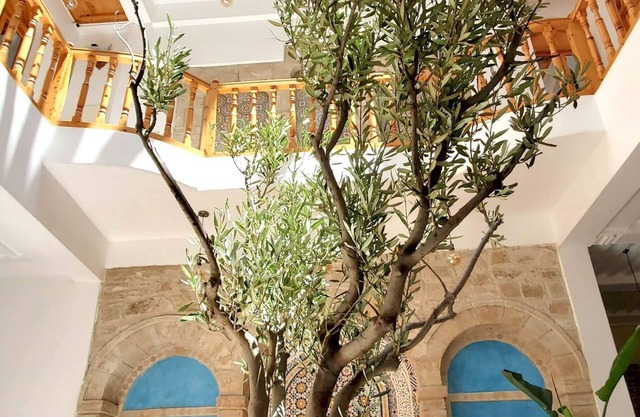 Riad Al Manara