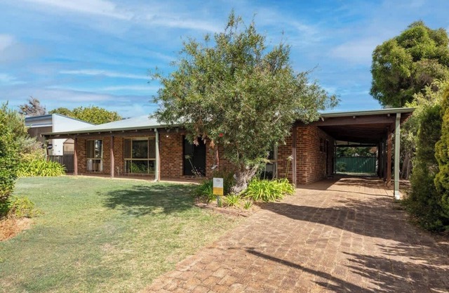 Ringtails, walk to town and beach