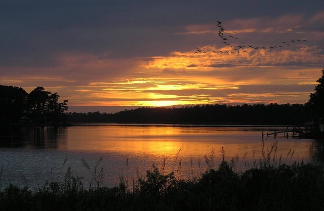Rivendock Rookery II: Waterfront Home w/Dock & Stunning Views