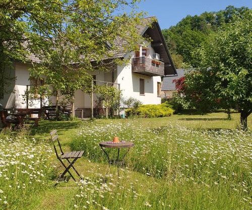 River House Radolca