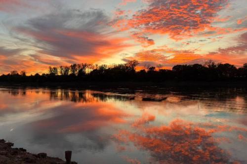 Riverfront Studio Cabin with Best View and Huge Yard