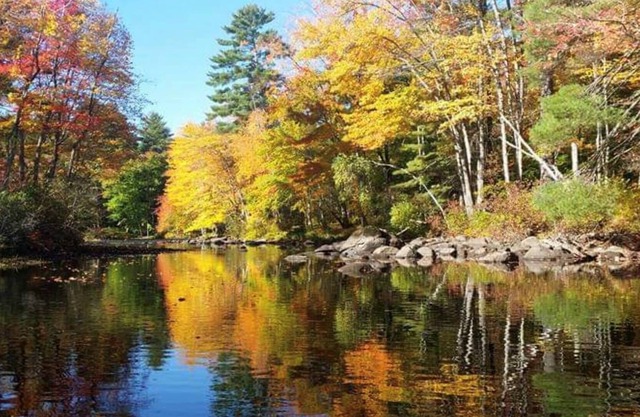 Riverside Charm: Water Front, Dogs OK, Beach, Dock, Hammocks, Kayaks, Fishing, Fast WiFi