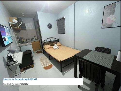 RJ Studio transient in Napico