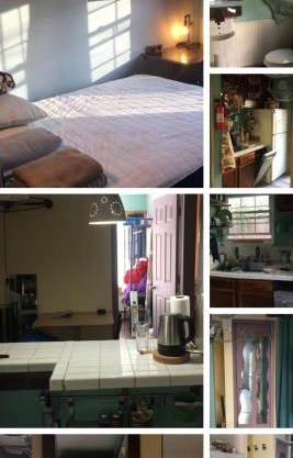 Rock Pad for Yale, Visitors, Nurses, Staff