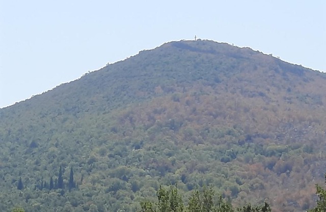 Rooms Vidović