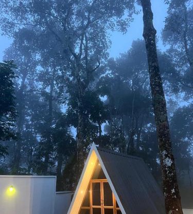 Roots Munnar