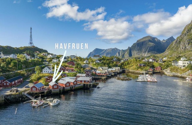 Rorbua Havfruen