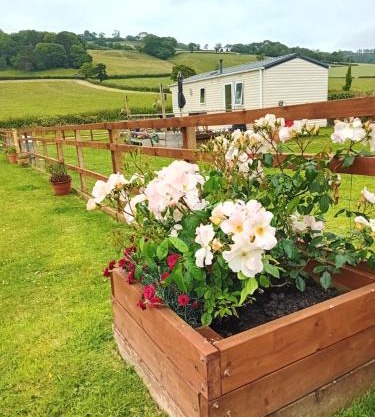 Rose Corner