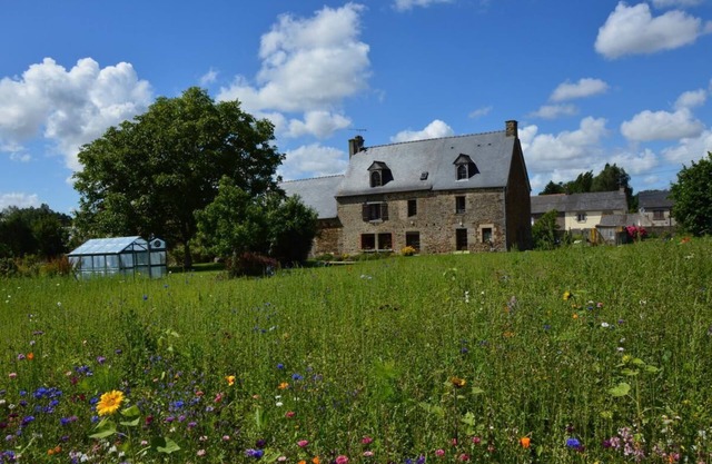 Roza-flor - Roz-landrieux