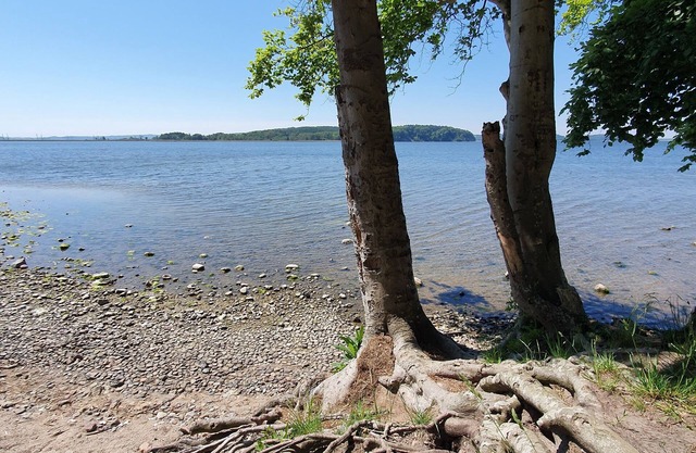 Ruhig Gelegene, Lichtdurchflutete Ferienwohnung in Garz, auf Rügen