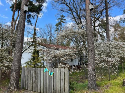 Ruime Chalet i/h bos met grote tuin en zwembad