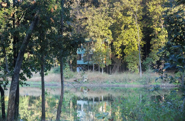 Rukhad Jungle Camp