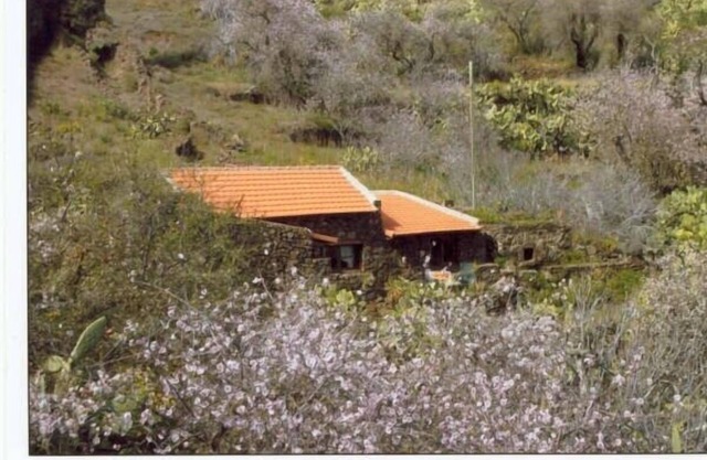 Rural house