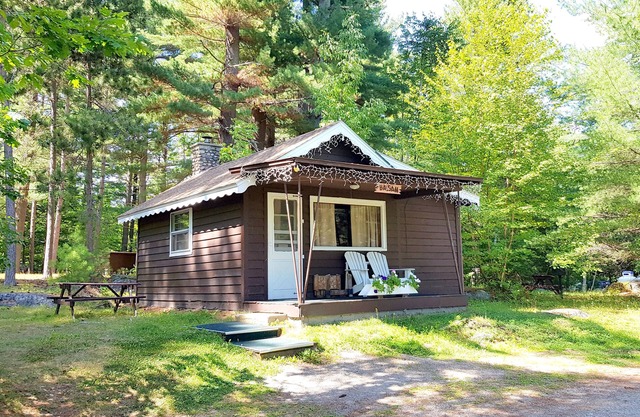Rustic Cabin in beautiful environment under Pine Trees