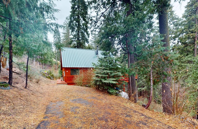 Rustic Cabin in the Forest with WiFi - Perfect for Year-Round Getaways - Dogs OK