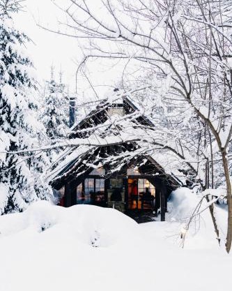 Rustic Hideaway - Brezovica Cabin