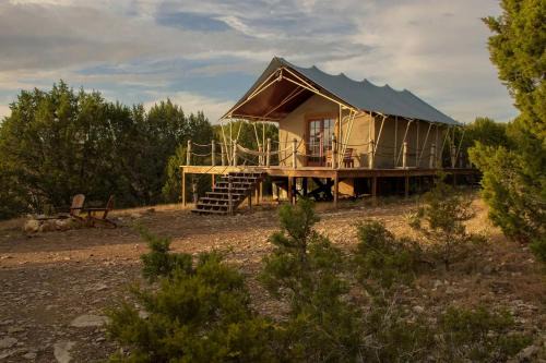 Safari Style Glamping Experience in the Heart of Texas Hill Country, Perfect for Animal Lovers