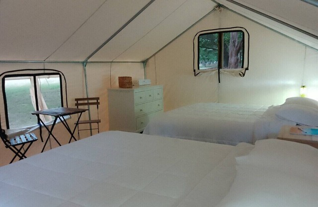 Safari Tent Glamping,D28-CedarPt, East Hampton, NY