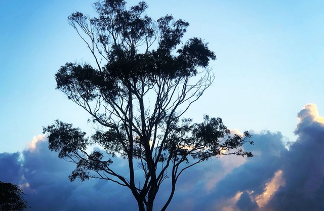 Saint Cloud Retreat - A serene piece of Heaven - Rest Restore Rejuvenate