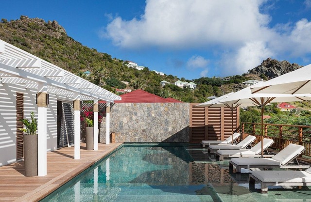 Sam Lion (2/3 Rooms) Luxury villa