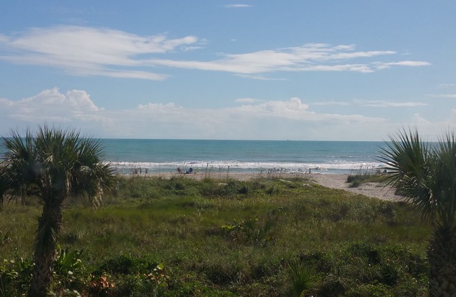 Sandcastles 206 Direct Ocean Front Views and great reviews