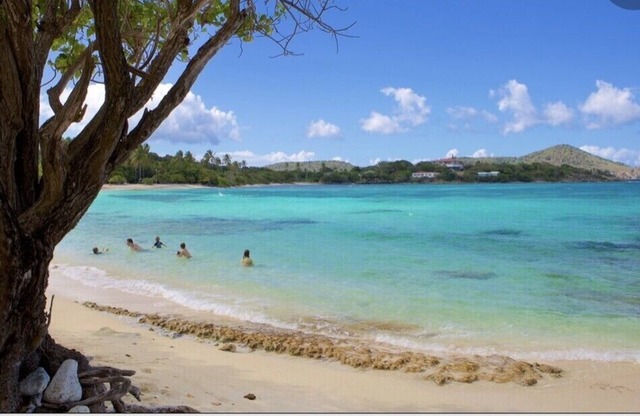 Sapphire Beach; St Thomas USVI; Sleep 4; STEPS FROM BEACH
