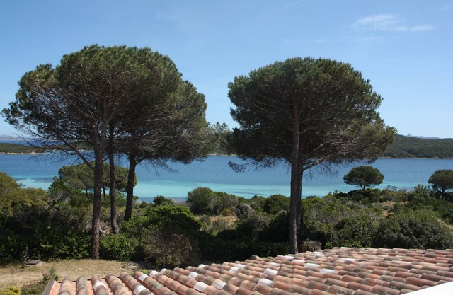 Sardinia - Maddalena- Gallura- Costa Smeraldan2 minutes from the beach, sea view