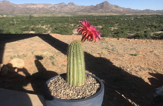 Scenic View of Santa Cruz River Valley and Mountains