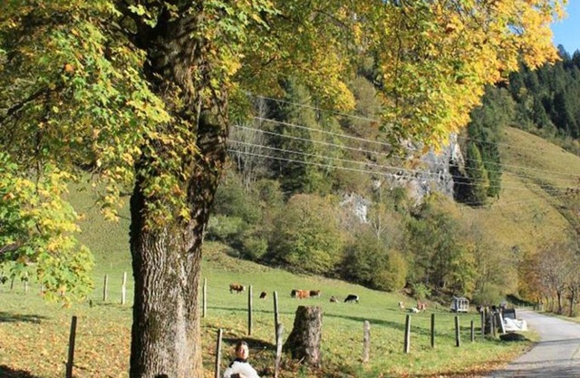 Schönegger, House - Apartment/living room/bedroom/shower, WC