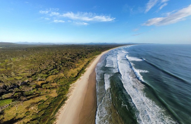 Scotts Head Surf Shax #4 Turquoise