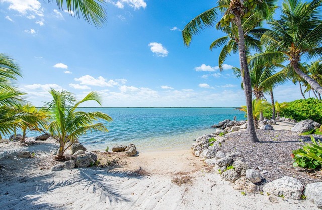 Sea Magic on Marlin - Panoramic Open Water Views & Spacious 5-bedroom House