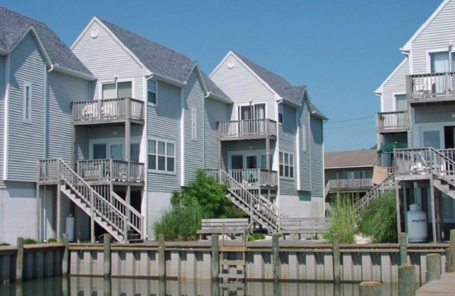 Sea Star-Views of the Lighthouse!