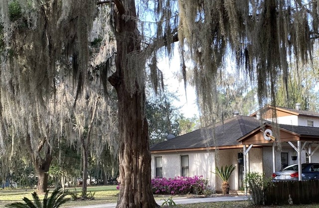 Seagrove House in Historic District St. Marys, 2 blocks to river - Dog Friendly