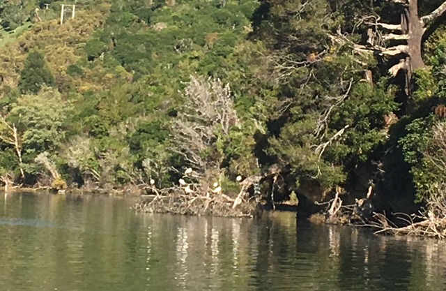 Seascape - sea views you can reach out and touch