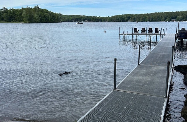 Sebago Sanctuary Lakeside Haven - LAKEFRONT LIVING in style!