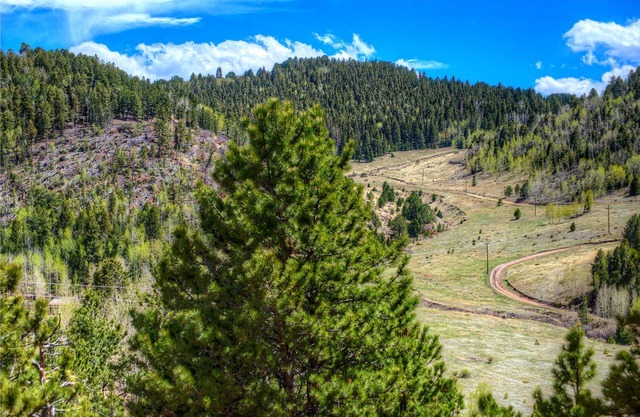 Secluded and scenic Mountain Retreat on 2 acres, Close to Pikes Peak, Good Wifi