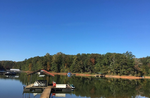Secluded Lake Front Cabin - on Lake Hartwell, with Dock, Fenced Yard, Fire Pit.