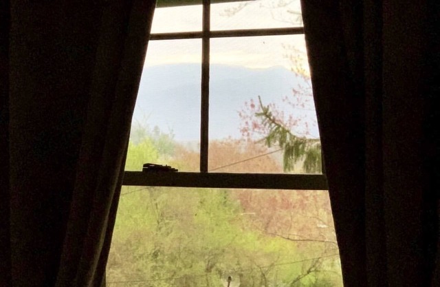 Secluded Spacious Cottage with Mountain views 1 mile to Downtown