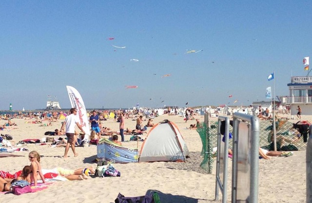 Seepferdchen Warnemünde